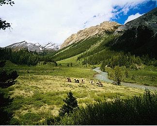 《吸血鬼幸存者》开发商已开始酝酿其他新游戏