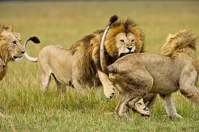 感谢虚幻5 《四海兄弟：故乡》将是系列画质最好看的一作