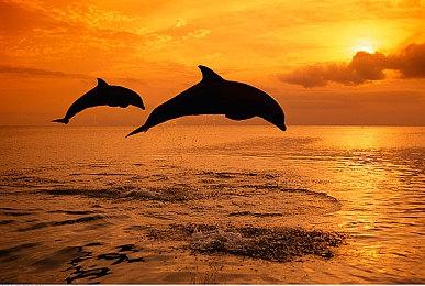 Epic喜加一：《纳赫鲁博王国地下城:混沌护身符》免费领