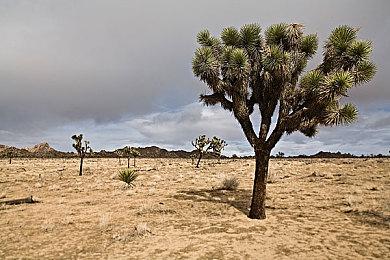 《特种部队：蛇眼起源》开启预售！全新特辑揭秘蛇眼、白幽灵兄弟情仇